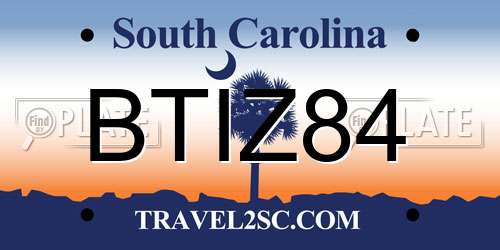 BTIZ84 South Carolina License Plate