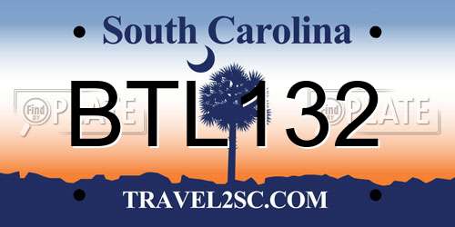 BTL132 South Carolina License Plate