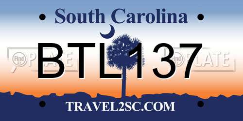 BTL137 South Carolina License Plate