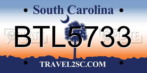 BTL5733 South Carolina License Plate