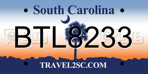 BTL8233 South Carolina License Plate
