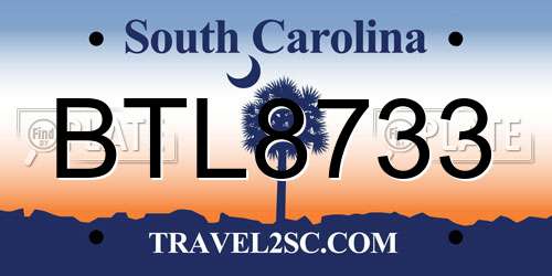 BTL8733 South Carolina License Plate