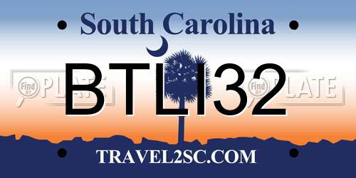 BTLI32 South Carolina License Plate