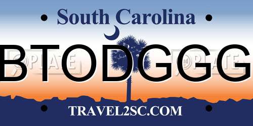 BTODGGG South Carolina License Plate