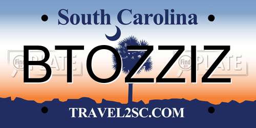 BTOZZIZ South Carolina License Plate