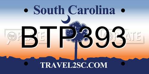 BTP393 South Carolina License Plate