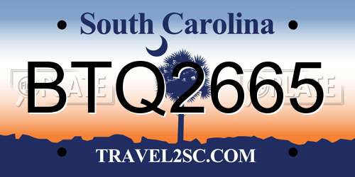 BTQ2665 South Carolina License Plate