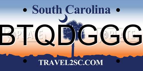 BTQDGGG South Carolina License Plate
