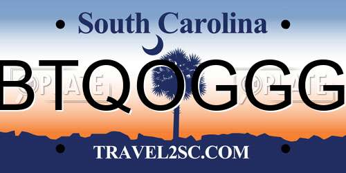 BTQOGGG South Carolina License Plate