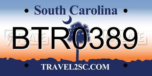 BTR0389 South Carolina License Plate