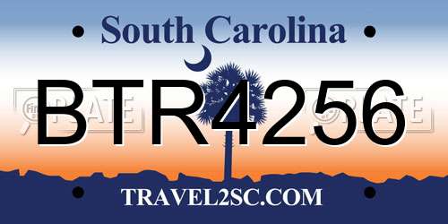 BTR4256 South Carolina License Plate