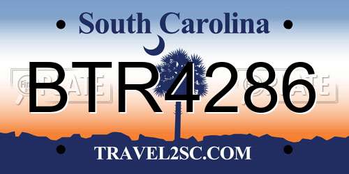 BTR4286 South Carolina License Plate