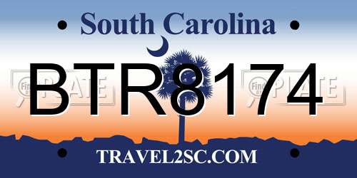 BTR8174 South Carolina License Plate