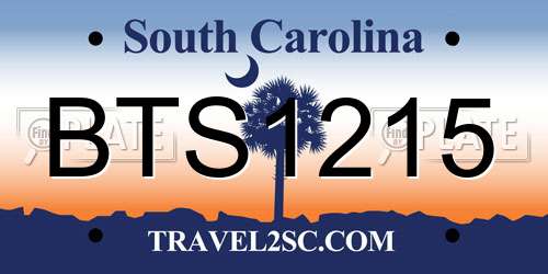 BTS1215 South Carolina License Plate