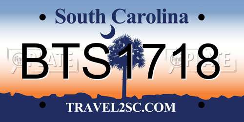 BTS1718 South Carolina License Plate