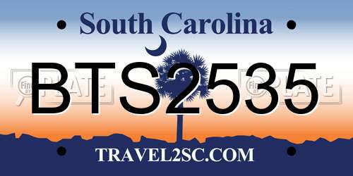 BTS2535 South Carolina License Plate