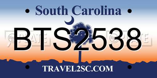 BTS2538 South Carolina License Plate