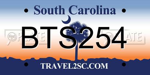 BTS254 South Carolina License Plate