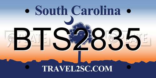 BTS2835 South Carolina License Plate