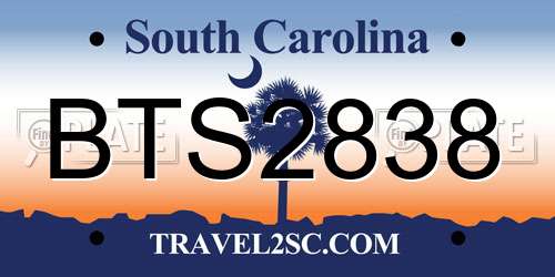 BTS2838 South Carolina License Plate