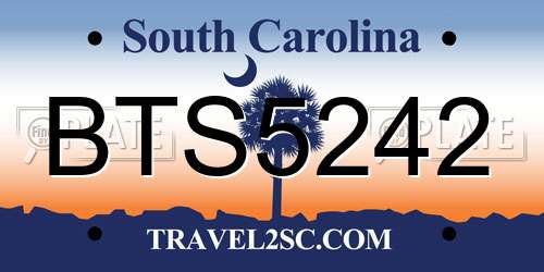 BTS5242 South Carolina License Plate