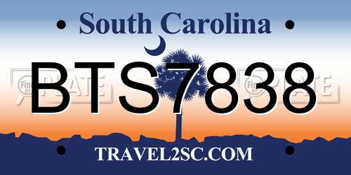 BTS7838 South Carolina License Plate