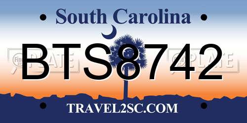 BTS8742 South Carolina License Plate
