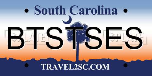 BTSTSES South Carolina License Plate