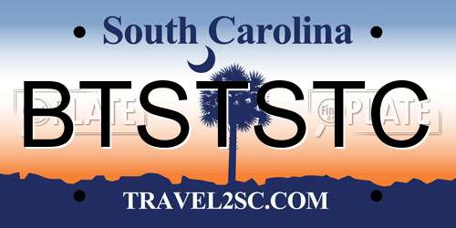 BTSTSTC South Carolina License Plate