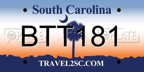 BTT181 South Carolina License Plate