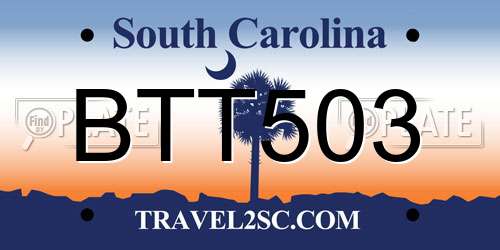 BTT503 South Carolina License Plate