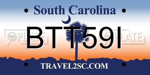 BTT59I South Carolina License Plate