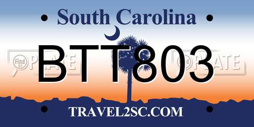 BTT803 South Carolina License Plate