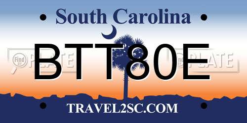 BTT80E South Carolina License Plate