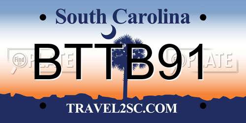 BTTB91 South Carolina License Plate