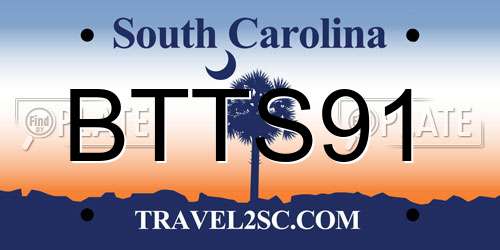 BTTS91 South Carolina License Plate