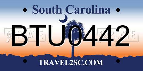 BTU0442 South Carolina License Plate
