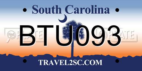 BTU093 South Carolina License Plate