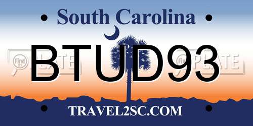BTUD93 South Carolina License Plate