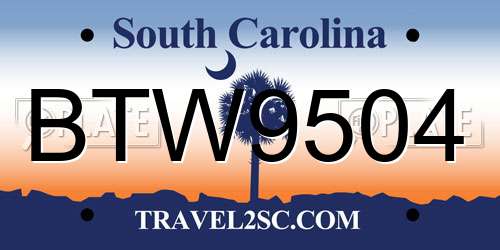 BTW9504 South Carolina License Plate