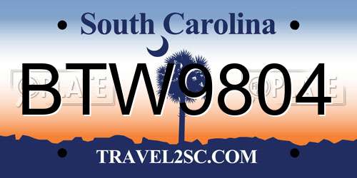 BTW9804 South Carolina License Plate