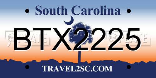 BTX2225 South Carolina License Plate