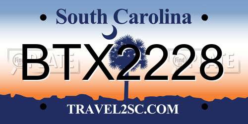 BTX2228 South Carolina License Plate