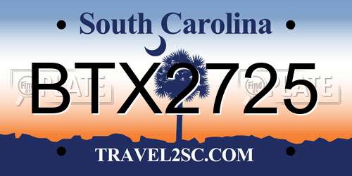 BTX2725 South Carolina License Plate