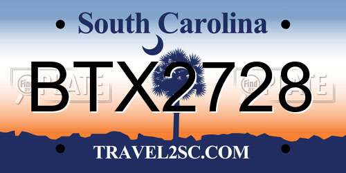 BTX2728 South Carolina License Plate