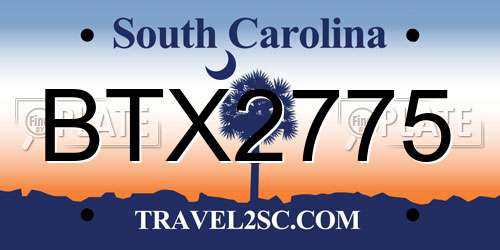 BTX2775 South Carolina License Plate