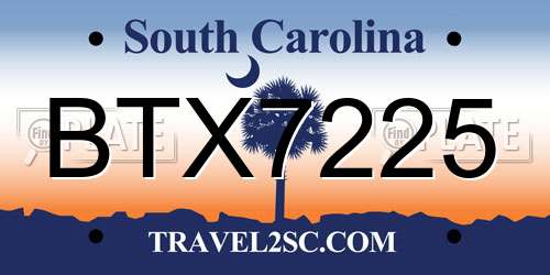 BTX7225 South Carolina License Plate