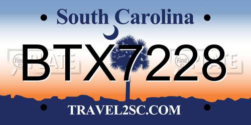 BTX7228 South Carolina License Plate