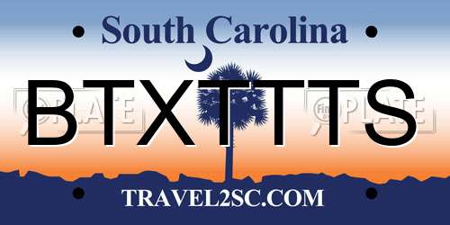 BTXTTTS South Carolina License Plate