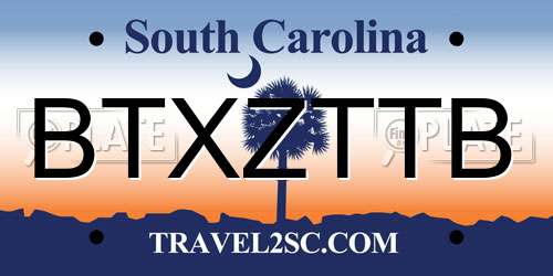 BTXZTTB South Carolina License Plate